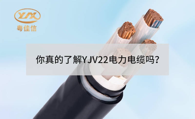 你真的了解YJV22電力電纜嗎？