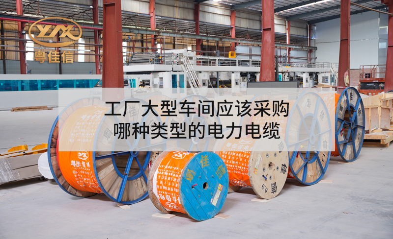 工廠大型車間應(yīng)該采購哪種類型的電力電纜