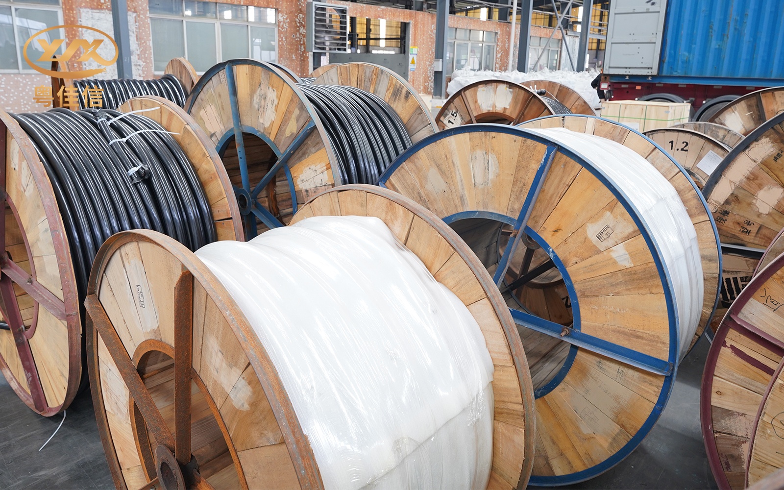 微信圖片_2025-07-22_145904_339 微信圖片_2025-07-22_145904_339