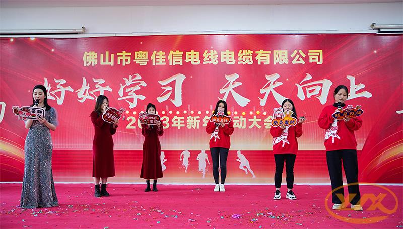 財(cái)務(wù)部-我最閃亮 財(cái)務(wù)部-我最閃亮